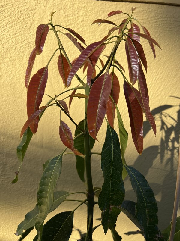 433E4F5D-A46F-42B6-8239-18F04FE72A00