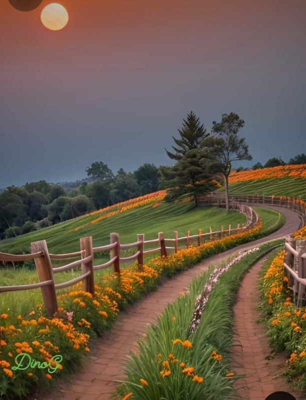 Screenshot_20240527_230406_Pinterest