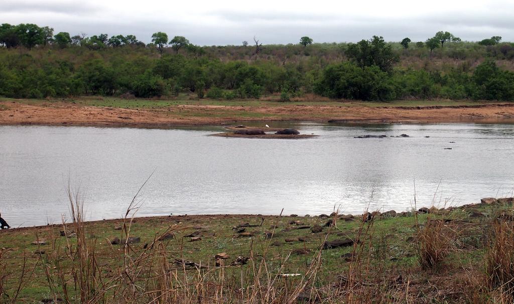 Такая близкая Африка. (ЮАР. 22 дня и 4200 км. Ноябрь-Декабрь) Такая близкая Африка. (ЮАР. 22 дня и 4200 км. Ноябрь-Декабрь)
