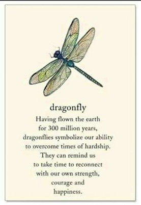 Dragonfly