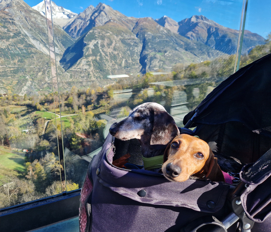 [Image: 20241028-110319.jpg]