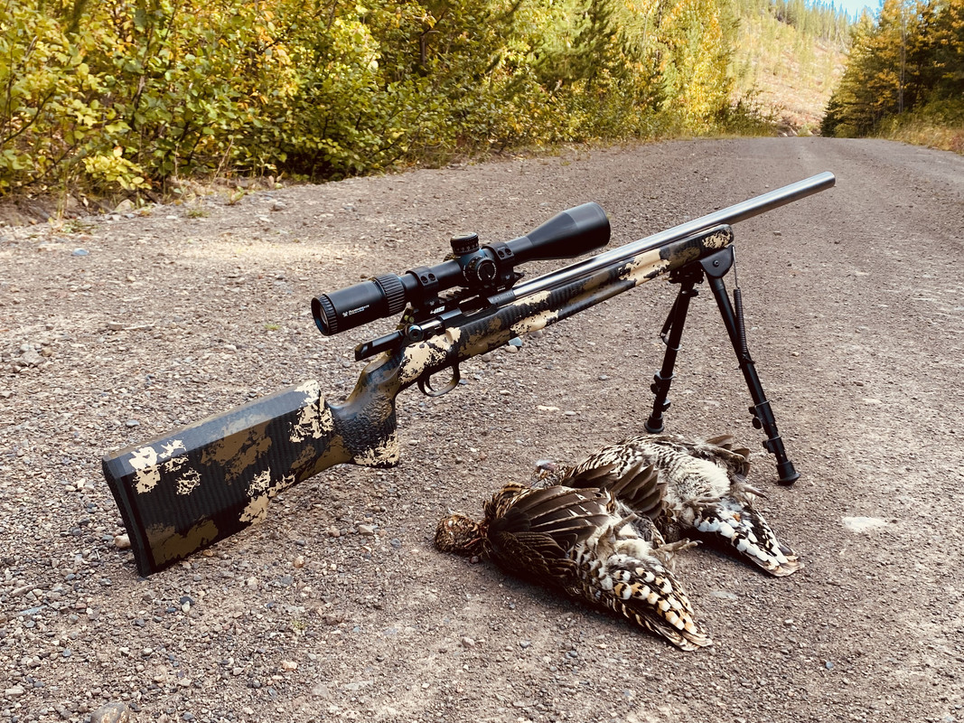 15FADFF2-A69A-4C76-BF9B-EF251C8CE147