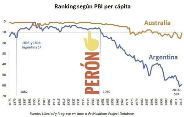 grafico-1-1jpg.webp