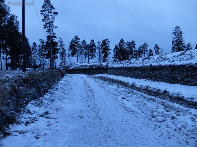 DSCF6485