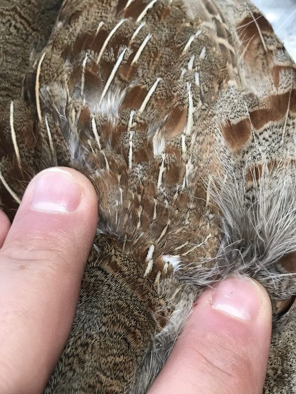 B858347A-9CFA-42E1-8359-EFB2F5F1A1D0