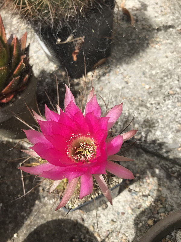 8BEA05BA-7F3D-480D-8D26-DF001B546F2F