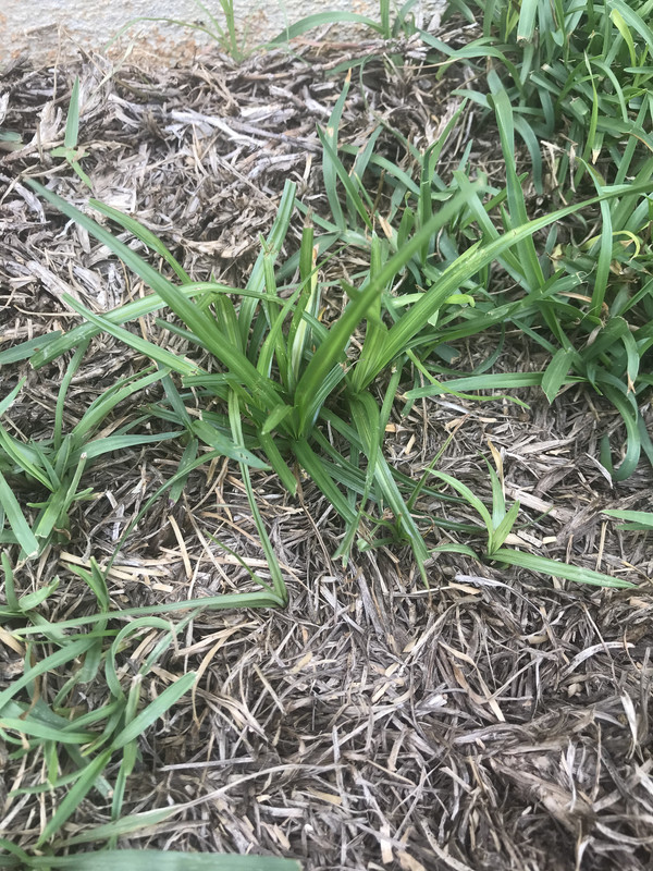 D036FADF-EEED-4CA6-8E47-EC065C7DA9D6