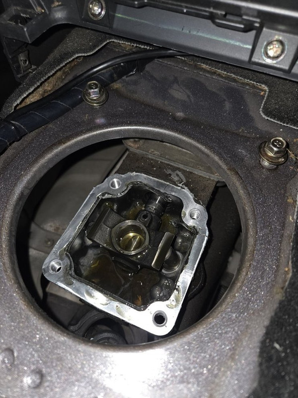 [Immagine: F7ZZjr-BEQQC9x-T2t-KWlp-Hg.jpg]