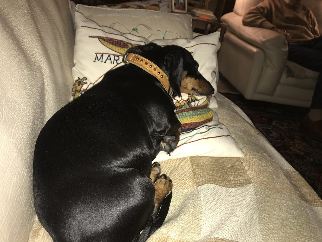 [Image: EDE143-E9-EB07-44-B9-90-B8-FECF9977-F287.jpg]