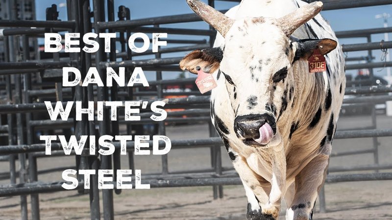 Дейна Уайт тъгува след смъртта на своя бик