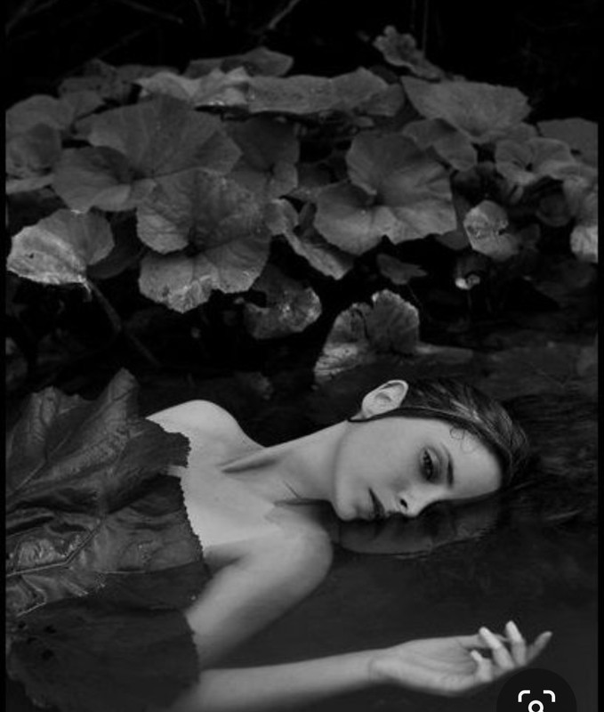 Screenshot_20240117_232329_Pinterest