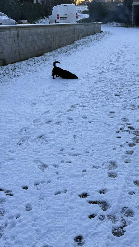 [Image: IMG-5086.jpg]