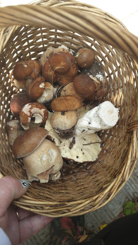 Изображение WhatsApp 2025-06-23 в 11.25.37_cae56f0a