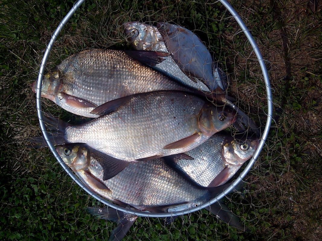 Пермь, 3-я Набережная 21.05.15. 03