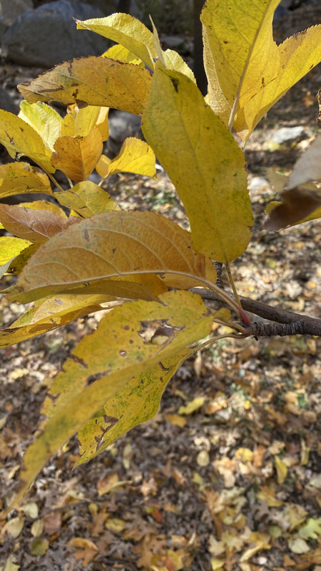 7917FF0D-0C07-464C-9FB6-FB448110DF56