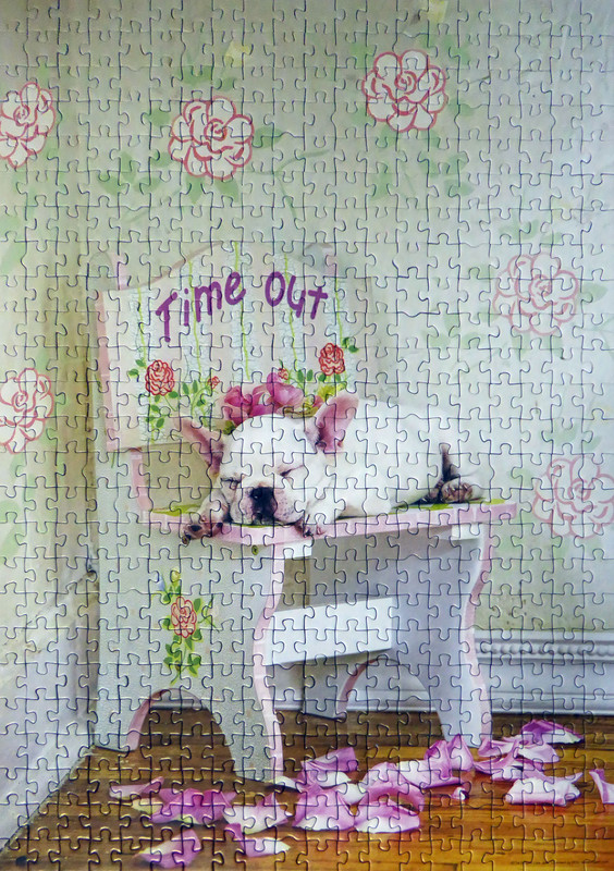 DandoseUnRespiro500Educa