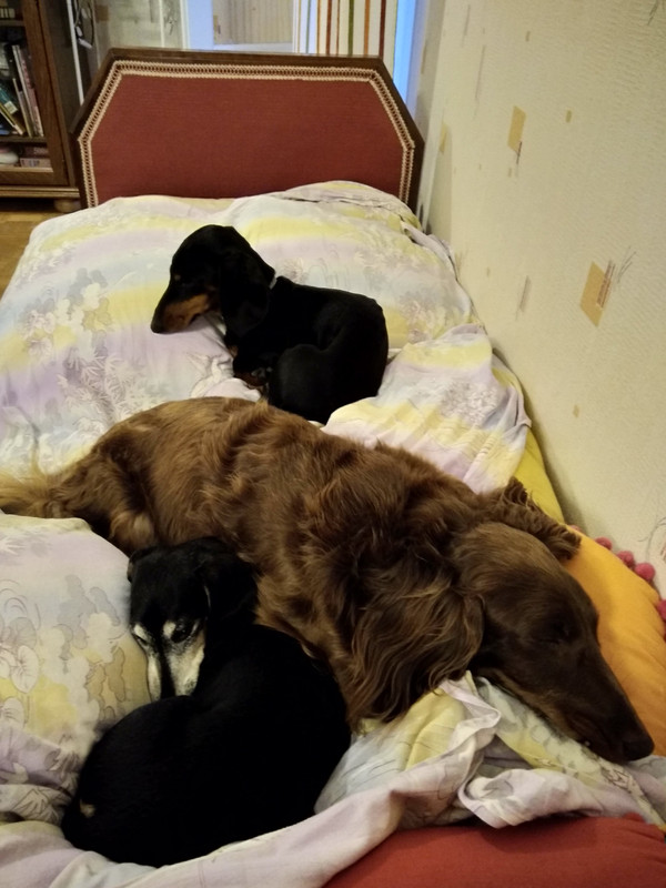 [Image: IMG-20200920-200326.jpg]