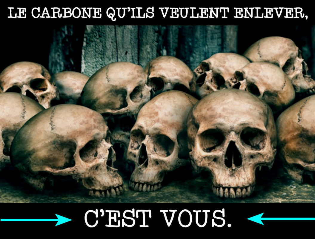 Carbone éliminé C VOUS