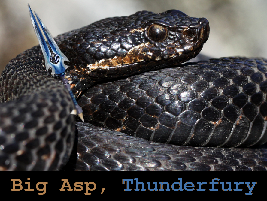 big asp thunderfury : r/classicwow