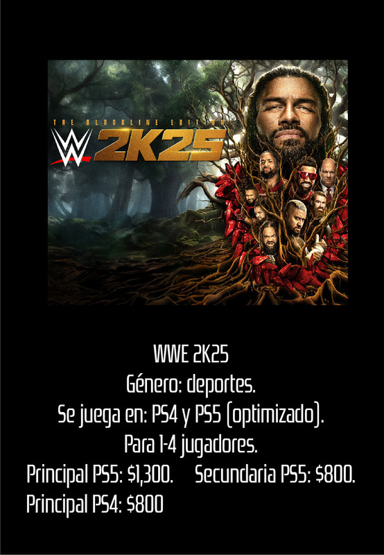 WWE 2K25