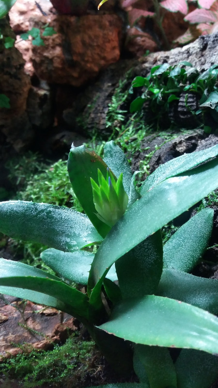 Screenshot_20180327-165937