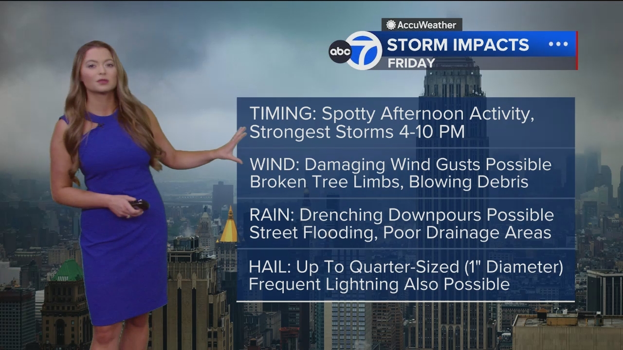 Eyewitness News Mornings at 10_20240614_15001600.ts_snapshot_00.48.33.777