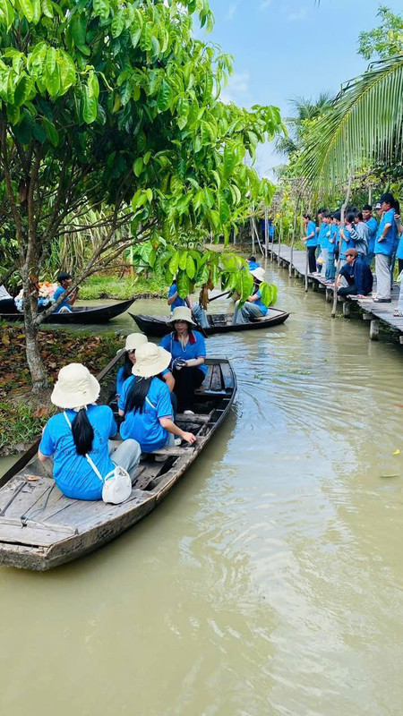 Vườn trái cây