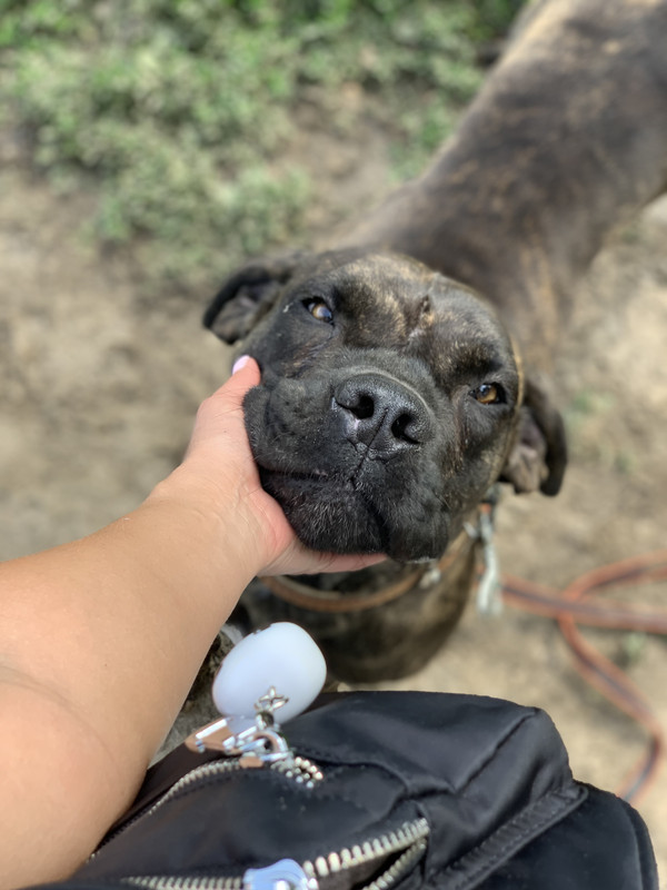 DA189062-D63E-4943-B279-439ABA4FCDCD