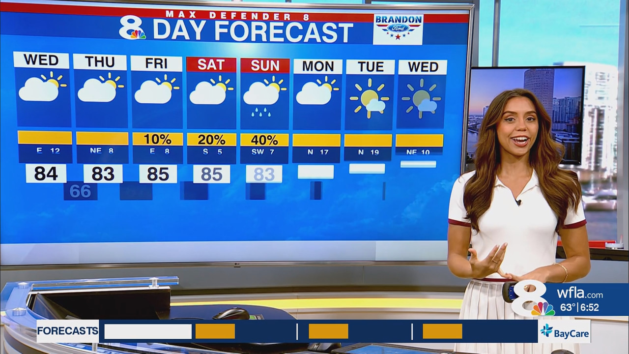 News Channel 8 Today at 6a 20251105 11001200 ts snapshot 00 53 15 313