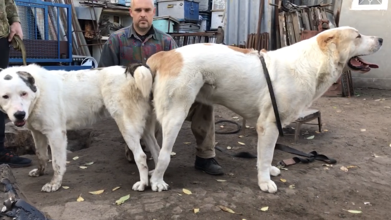 8A390B15-1417-4D80-81A9-4383FE3DF286