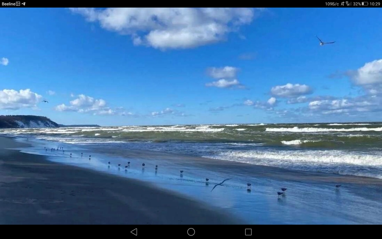 Screenshot_2023-03-29-10-29-51