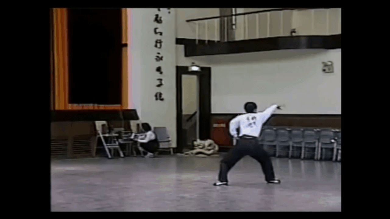 long fist pu bu