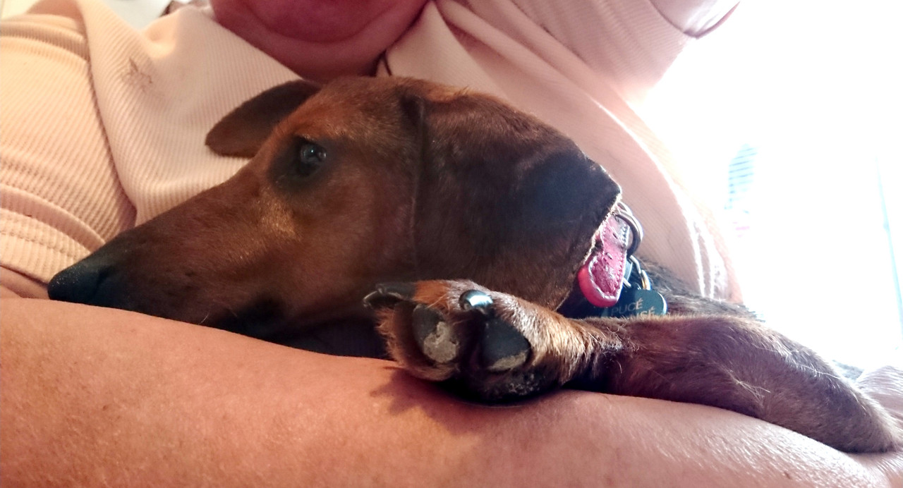 [Image: 20220713-171728.jpg]