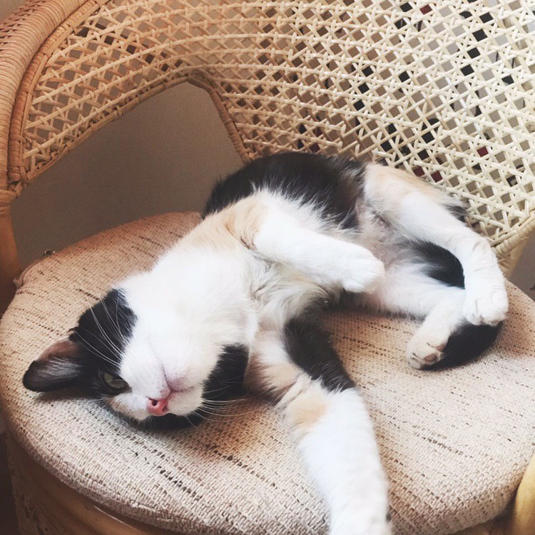 EE7D1FEF-1427-4097-B808-66F3C90DDB18