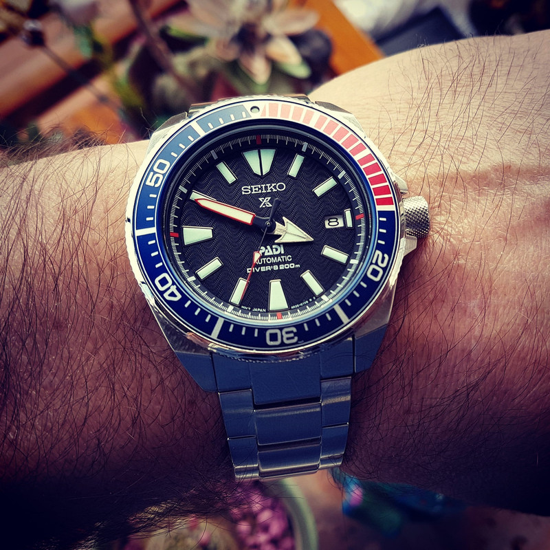 Seiko Prospex 'Samurai' PADI SRPB99 Cal. 4R35 200M (1)