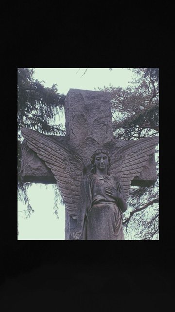IMG-1721