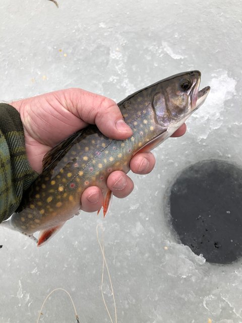 0124357C-97DA-422B-918B-D47C376B99FD