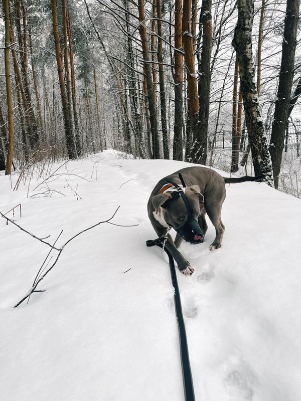 BAA37B5A-5F4A-4029-9967-CD4AFE669351