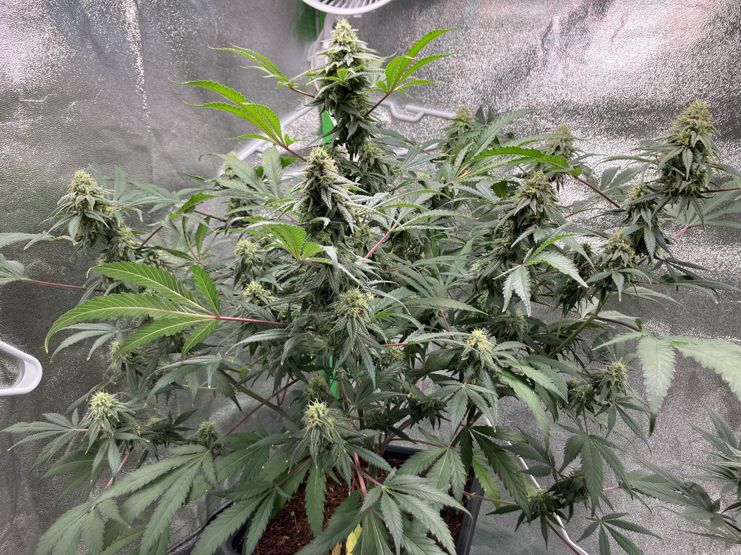 6CF98920-1BB3-4F59-A93C-7267010B3346