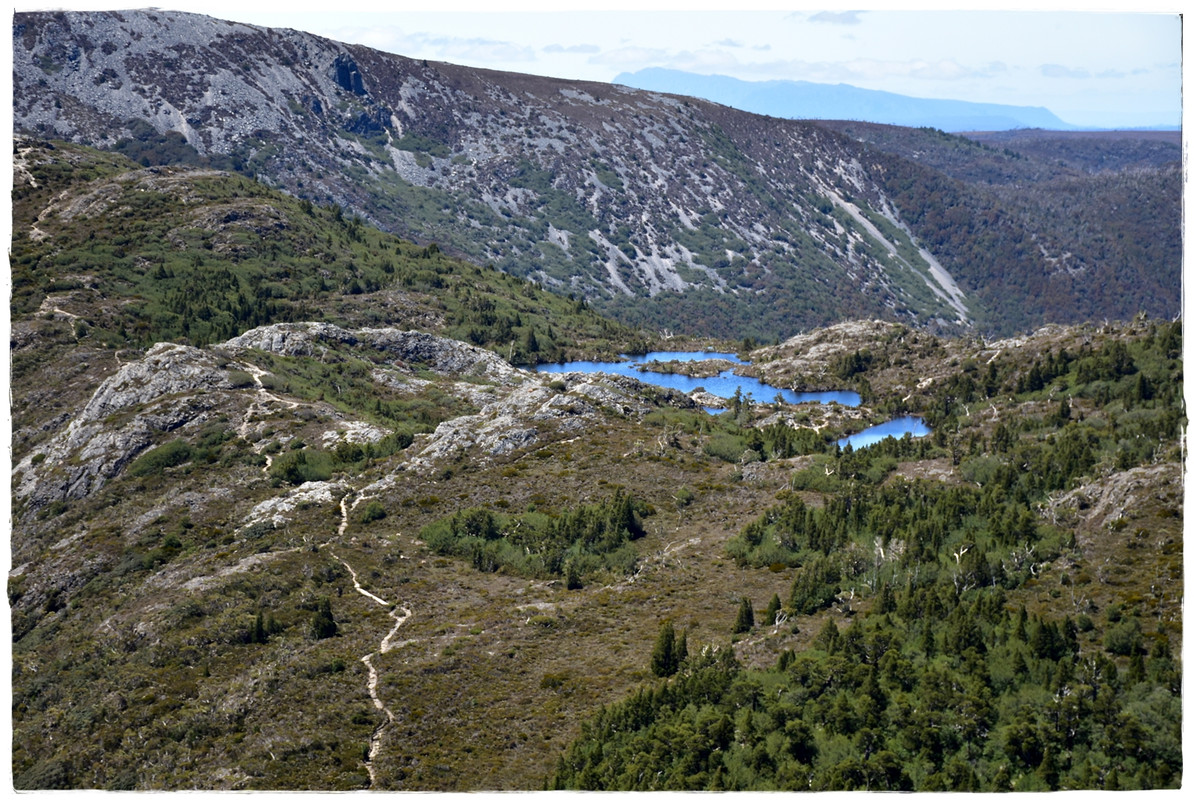 Cradle Mountain National Park - Australia (II): Recorriendo Tasmania (25)