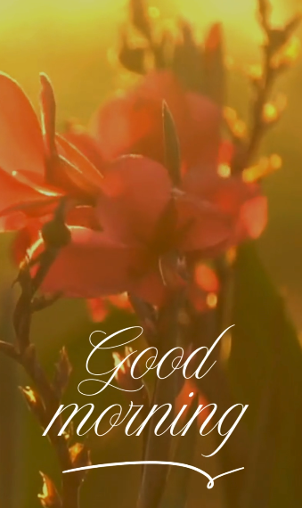 vartotojo kelta nuotrauka