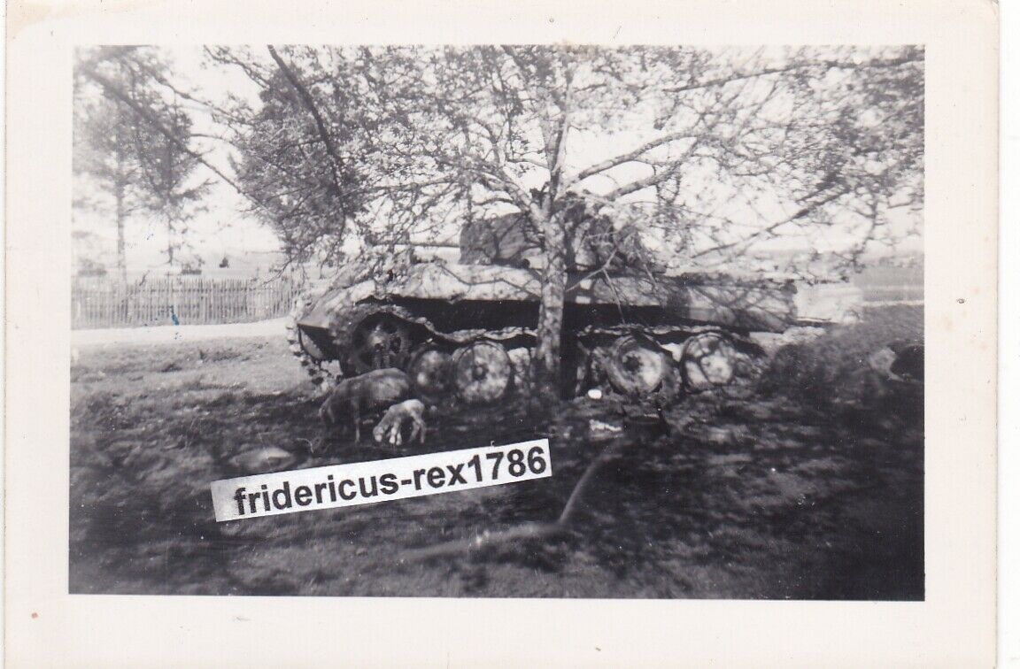 Foto Panzer Tank Panther  Endkampf Reichsgebiet 44 45 zerschoßen