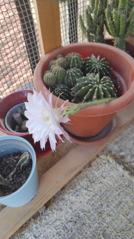 Imagen de WhatsApp 2023-08-03 a las 11.20.01