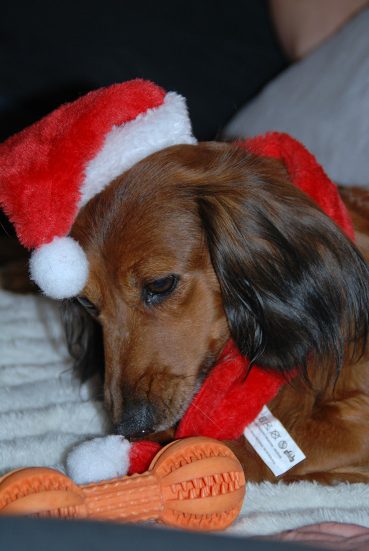 [Image: DSC-1490.jpg]