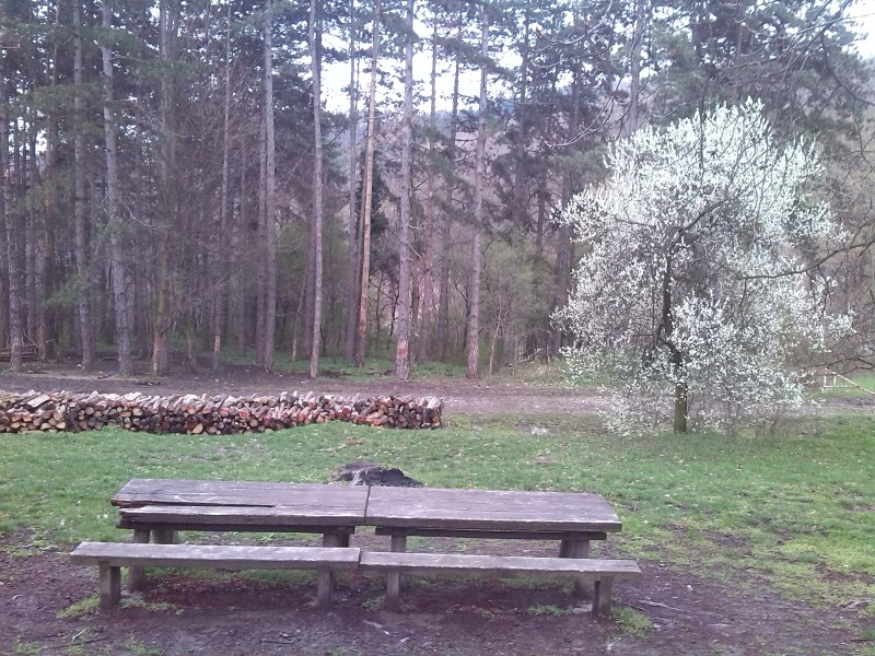 Slika