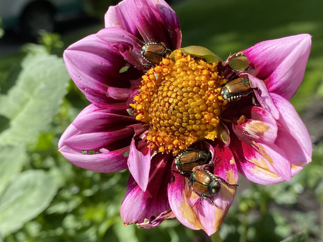 47CEE105-369C-46C1-B3C5-2F6B2F571E0A