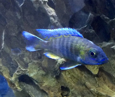 734CC7FC-2AB8-480D-8C90-08DD7B7C4C0C