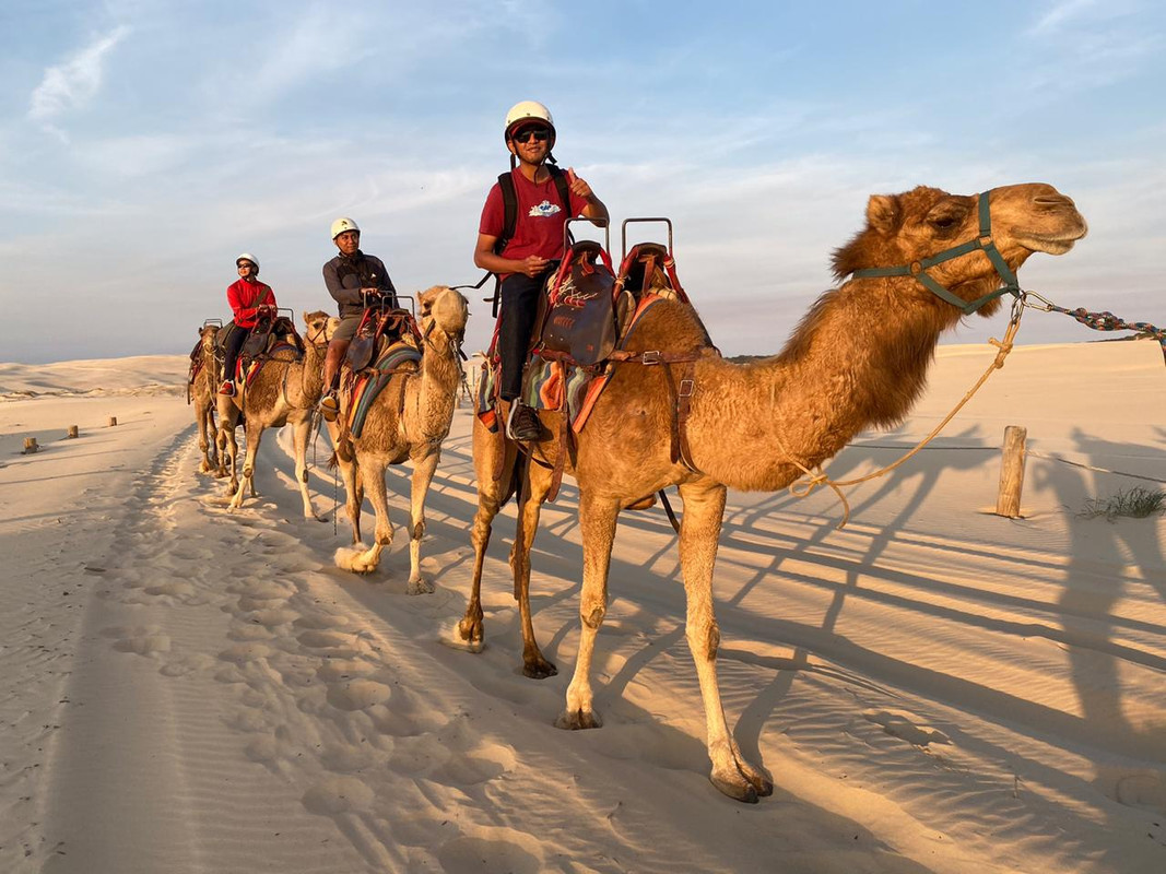 Sunset Camel Ride