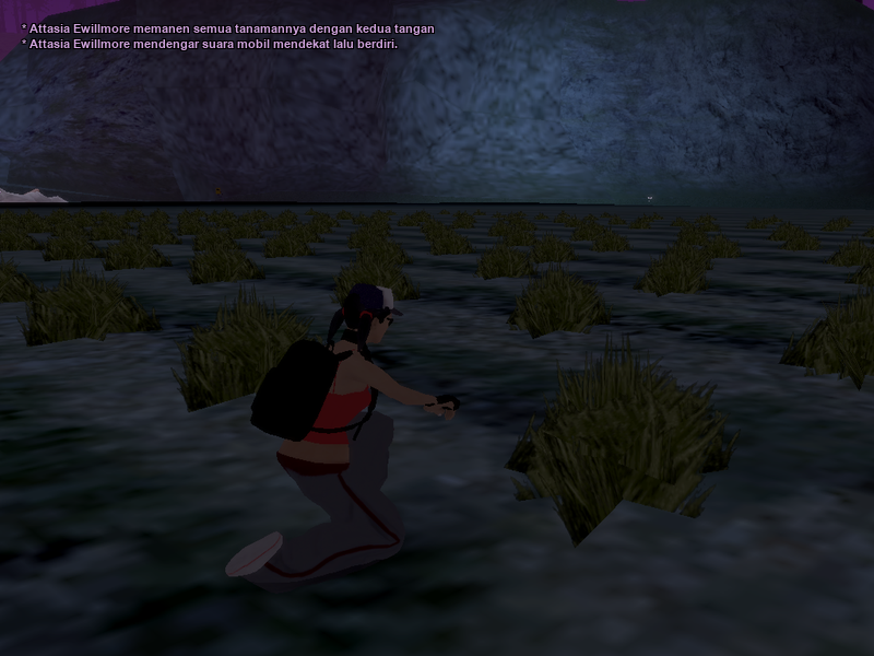 SS2.png
