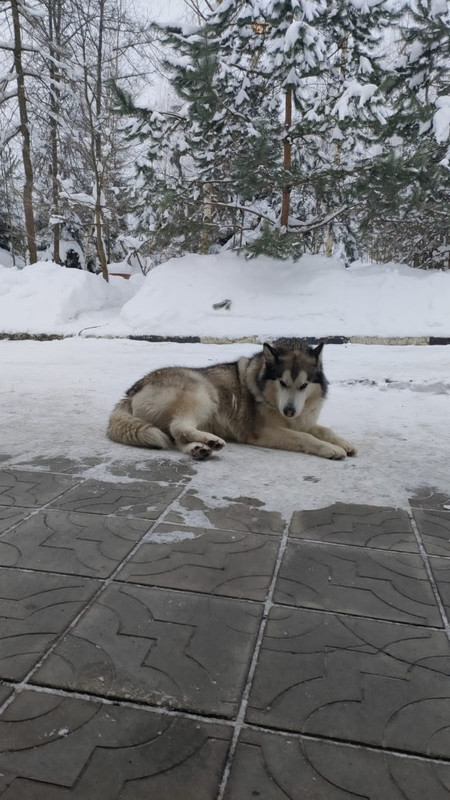 39AA7BCE-55FA-48FE-9E73-F1281F433D51